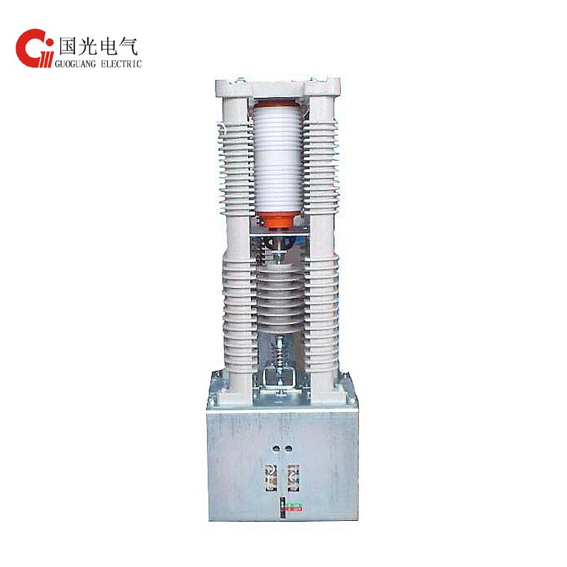 China wholesale Laser Acupuncture Therapy Instrument -
 JCZ5-24kV/630A Single Pole High-voltage Vacuum Contactor – Guoguang Electric