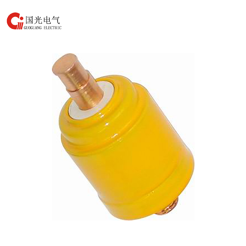 Fixed Competitive Price Silicone Cosmetic Bottles -
  Vacuum Chamber ZKTJ-160/1.14 – Guoguang Electric