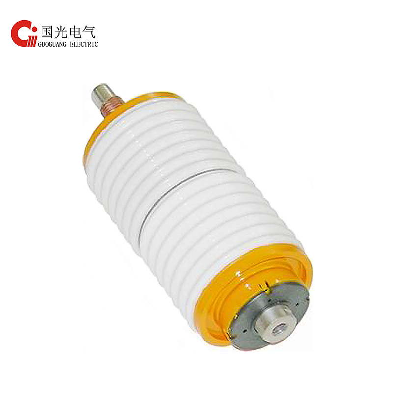 Discount Price Rubber Dryer Machine -
 Vacuum Chamber TJC20-12/400 – Guoguang Electric